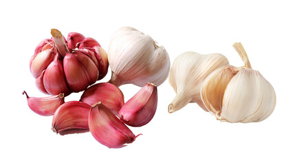 Garlic isolated on white background. Clipping path for easy extraction.