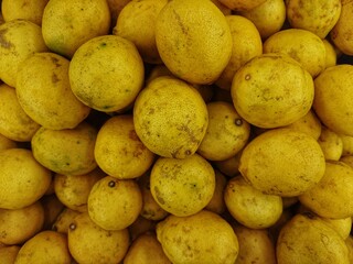 Fresh lemon fruit.