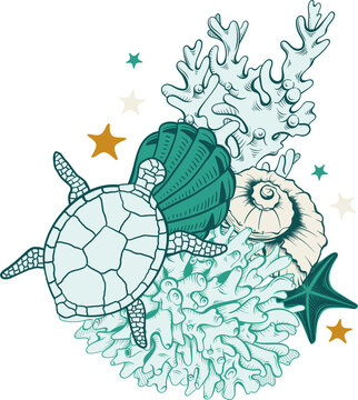 Marine Life Illustration with Turtle, Coral and Seashells