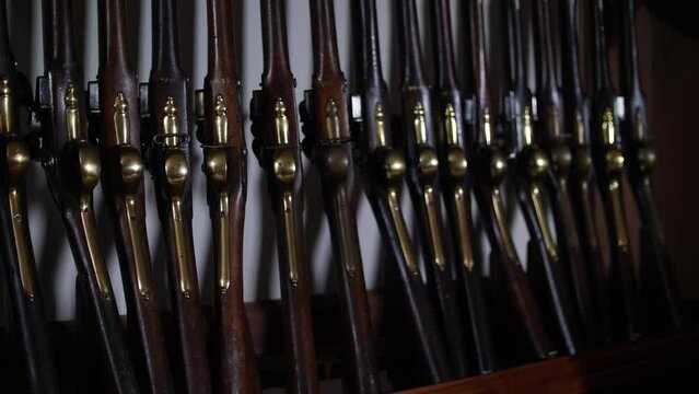 Close-up view of a row of Mosin-Nagants (the 3-line rifle M1891)