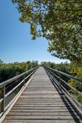 Obraz premium Vertical shot of a narrow wooden bridge under the blue sky
