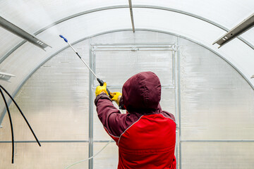 Cleaning the empty greenhouse with an antibacterial cleaner liquid, gardener spray it on the greenhouse wall for disinfection. Spring gardening work concept.