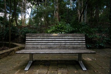 Fototapeta premium Old wooden bench in a park with lush green nature in the background in daylight