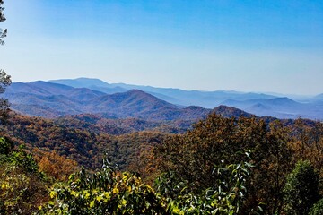 Aerial shot of rocky mountains covered with trees in autumn on a sunny day