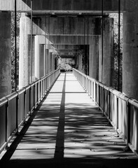 Vertical greyscale shot of a bridge with columns