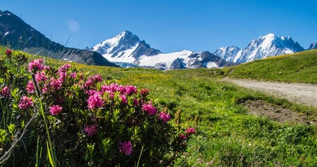 Landscape of green hills with flowers in charamillon gondola alps in haute savoie in France