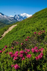Vertical shot of green hiking with flowers in charamillon gondola alps, France