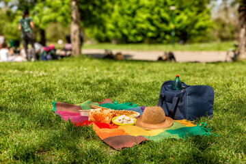 Picnic time, food on a blanket, cooler bag on grass at summer park.