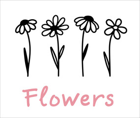 Flowers pattern, wildflowers and chamomiles silhouettes - 779614557