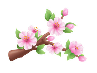 3d sakura branch. Blossom japanese cherry, bloom fruit tree apricot peaches cherries flowers bud, spring may plasticine realistic elements