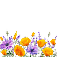 Wildflowers california poppies, anemones and lavender border. Wildherbs template, watercolor orange and blue flowers.