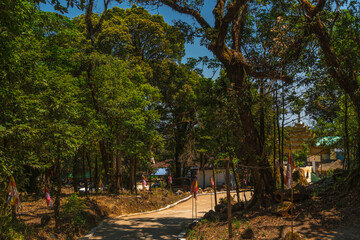 A path through a forest with a house in the distance