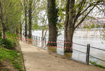 Des arbres et un quai de promenade inondés lors d'une crue