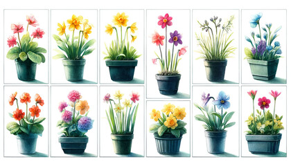 Assorted potted flowers collection in a grid layout, perfect for horticulture themes, spring season, and Mother's Day promotions