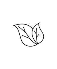 leaf icon, vector best line icon.