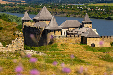 Blurred thistle flowers in the foreground and Khotyn fortress on background - obrazy, fototapety, plakaty