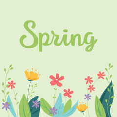 spring flowers background