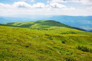 wonderful alpine landscape of ukraine in summer. clouds above the rolling hills and green meadows of carpathian mountains on a sunny day - 779648137
