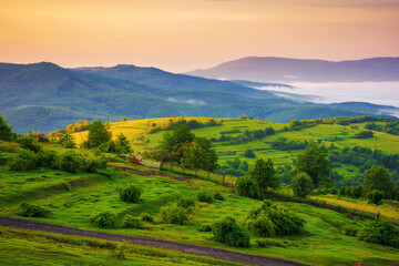 carpathian countryside scenery at dawn in summer. mountainous landscape of ukraine with grassy rural fields and meadows. fog in the distant valley - 779649392