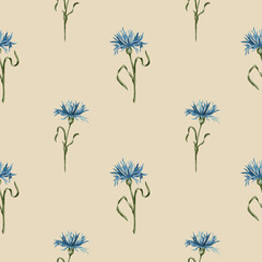 Cornflowers. Seamless floral pattern. Watercolor pattern with cornflowers. Wildflowers. Design for textile, fabric, wrapping, wallpaper and scrapbooking.