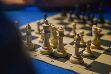 a pawn on the chess table