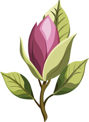 Single flower of pink blooming magnolia on a white background. The basis for an invitation card or invitation. Symbol of tenderness