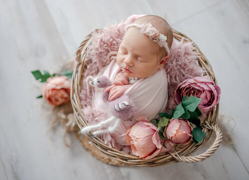 Newborn Girl In Pink Suit With Toy Cat Sleeps In Wooden Heart-Shaped Bowl During Professional Newborn Photoshoot