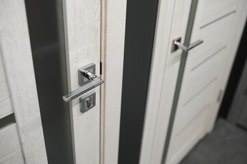 shop window of interroom doors. a large selection of interior doors for the house. home renovation concept