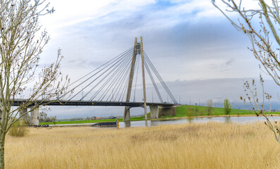 cable-stayed bridge in the netherlands - 779664906