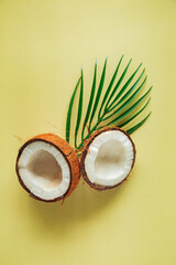 Obraz na płótnie Canvas Broken coconut and palm leaf on a light yellow background.