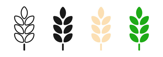 Wheat icon. Simple grain or cereal symbol. Rye, harvest or gluten vector illustration. Agriculture plant isolated icon set. - obrazy, fototapety, plakaty