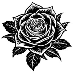 Flower vector illustration.


