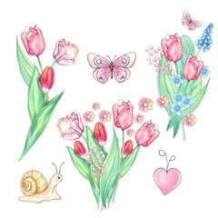 Watercolor set artistic illustration springtime primroses flowers bucket. Beautiful Tulips for Mothers day. Romantic freshness artwork. For invitation, wedding, printing