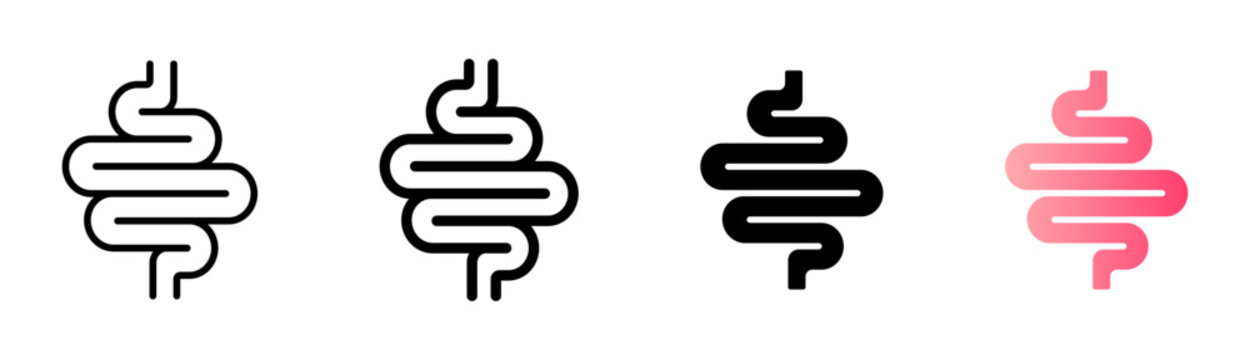 Intestine icon. Bowel symbol. Human anatomy, guts or intestinal tract vector illustration. Digestion sign. Abdominal gastric belly icon isolated.