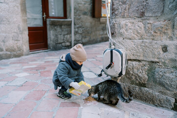 Little girl feeds a tabby cat on the street near the house, squatting