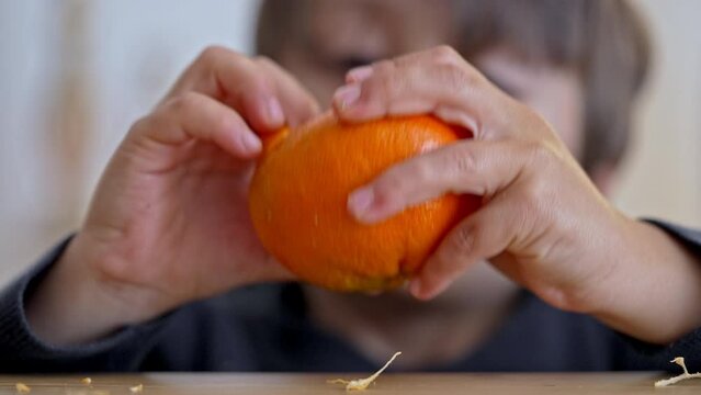 Delicious Citrus Delight - Kid Diligently Peels Tangerine For A Refreshing Treat
