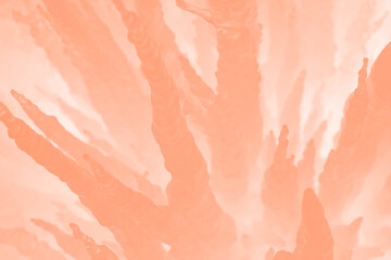 Fototapeta premium Light Burnt Orange Abstract Creative Background Design