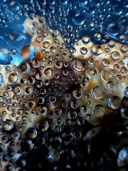 a close up photo of drops
