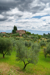 Fototapeta na wymiar Rural landscape near Figline Valdarno, Tuscany