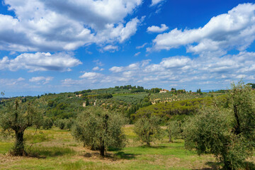 Rural landscape of Chianti, Tuscany, Italy