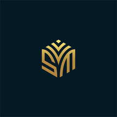 SM hexagon logo vector. Develop, natural, luxury, modern, finance logo, strong, suitable for your company.