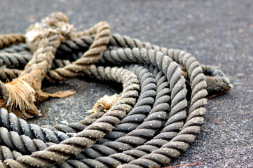 Fototapeta na wymiar 漁業用のロープ