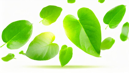 green leaves flying and floating in the air isolated on white background, Flying whirl green leaves in the air, Healthy products by organic natural ingredients concept. Generative AI