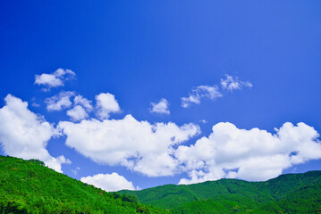 Fototapeta premium 夏の青空