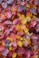 Fototapeta na wymiar autumn leaf fall autumn landscape yellow-red leaf Generative AI
