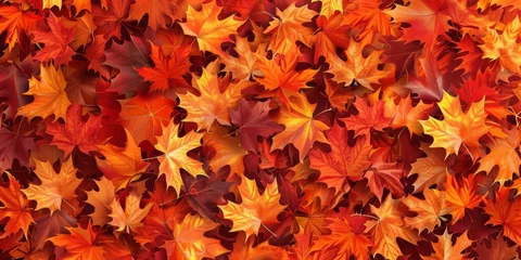Foto auf Glas autumn leaf fall autumn landscape yellow-red leaf Generative AI © Valentine