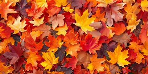 Selbstklebende Fototapeten autumn leaf fall autumn landscape yellow-red leaf Generative AI © Valentine