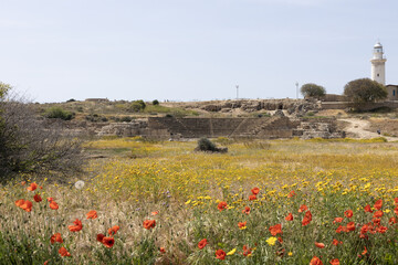 Ancient Amphitheater and Lighthouse, Paphos. Archaeological Park