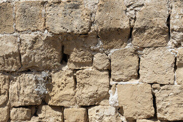 Ancient Limestone Wall Texture