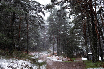 Rural hiking route in Ávila, harmonizing with nature, promoting sustainability environmental...